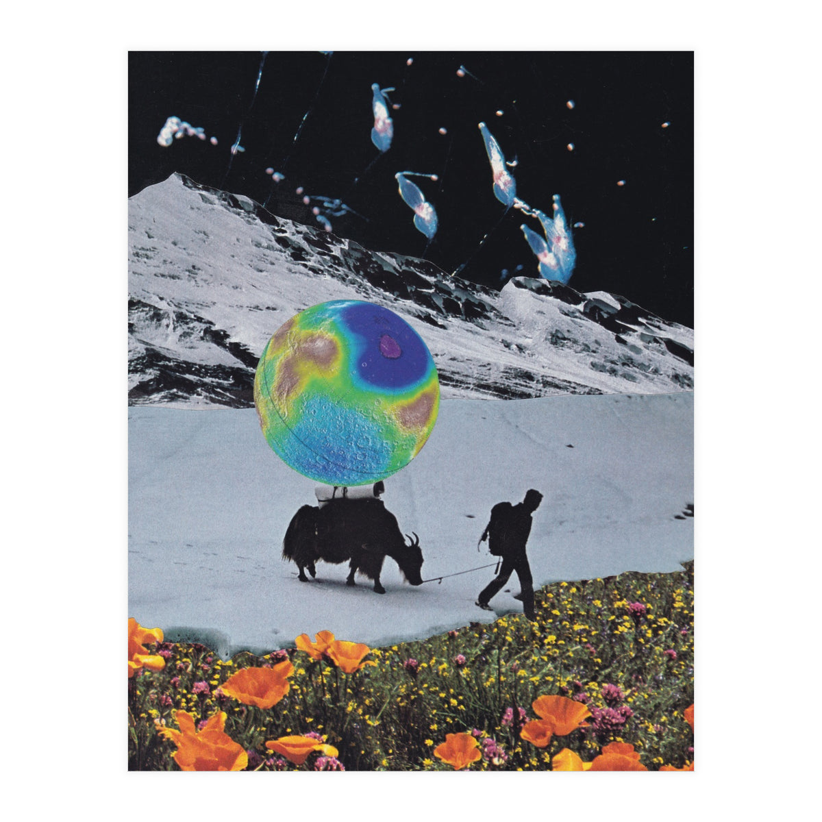 The Last Ice Age (Print Only)