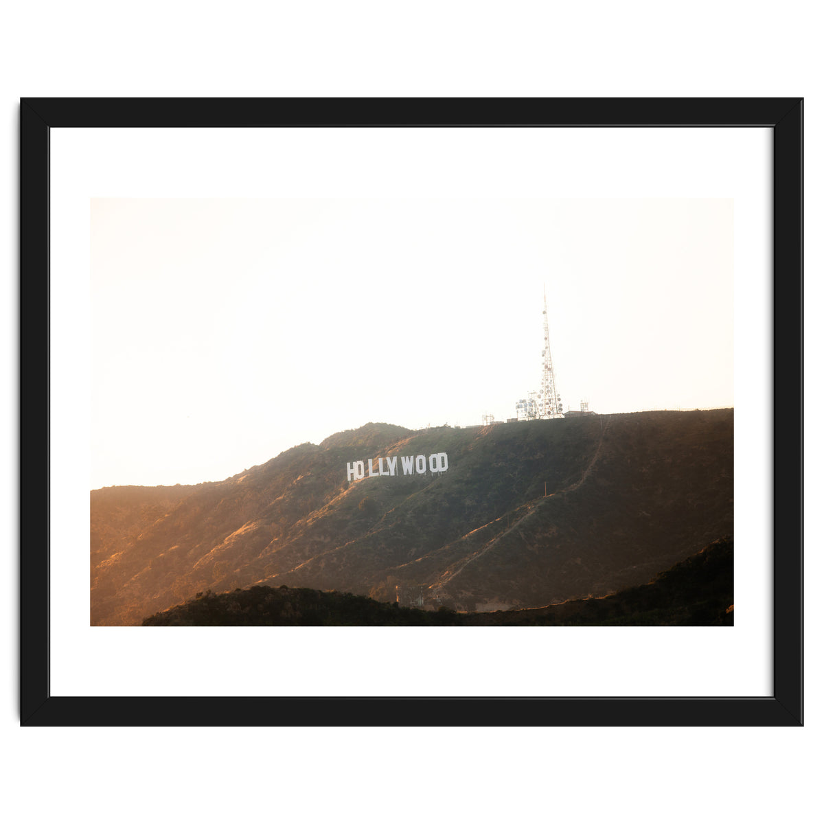 Hollywood Gold x Hollywood Sign California