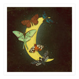 Moth moon (Print Only) thumbnail