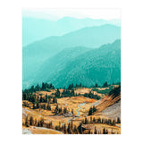 Delight Ii (Print Only) thumbnail