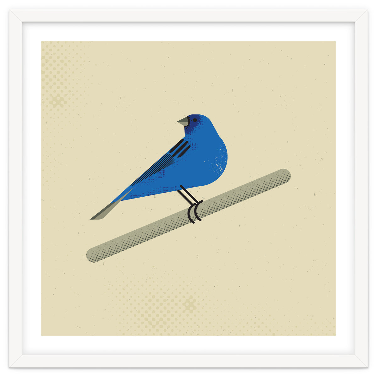 Indigo Bunting