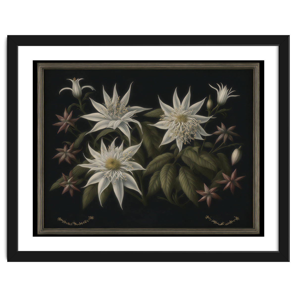 Edelweiss Vintage Illustration