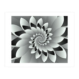 Black & White Floral (Print Only) thumbnail