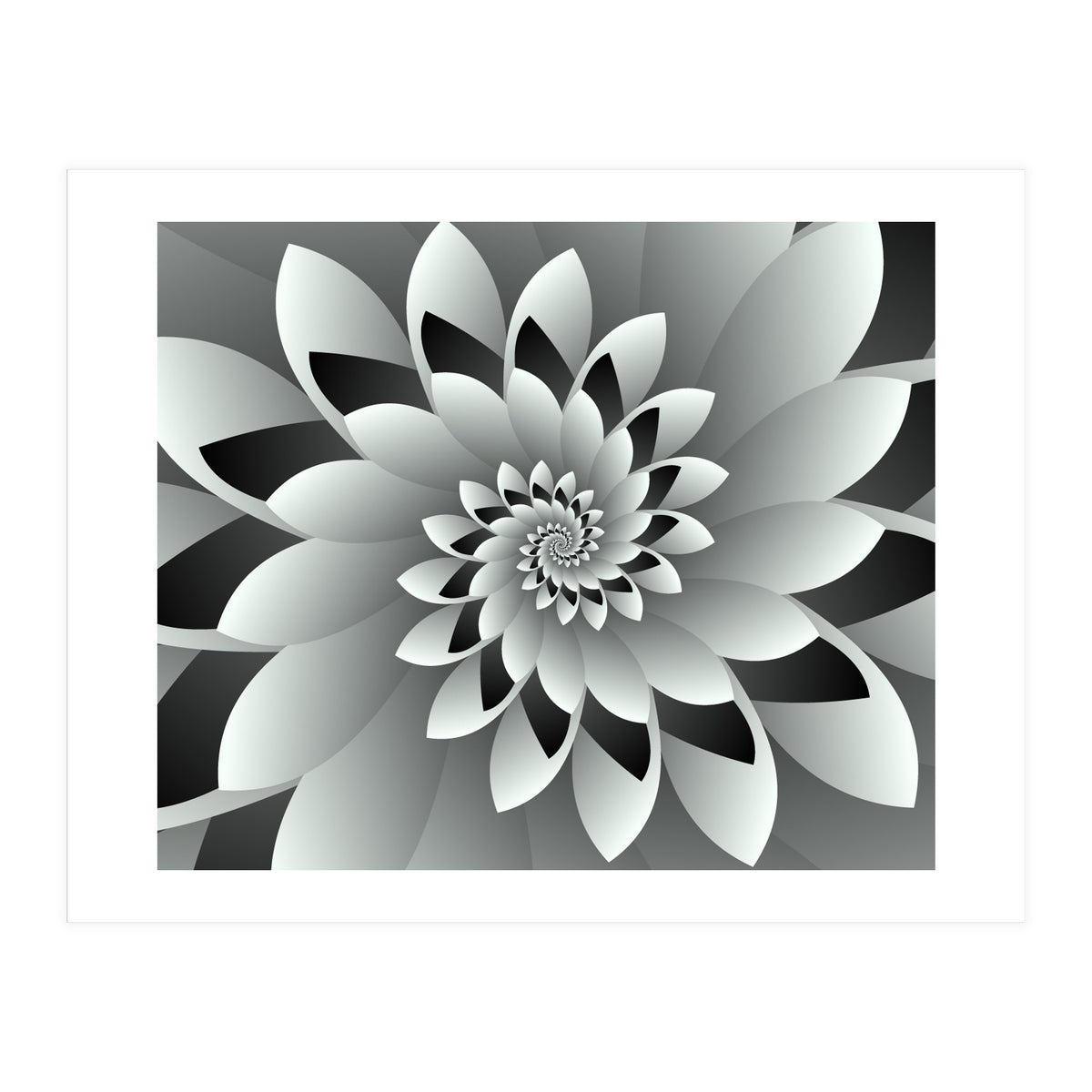 Black & White Floral (Print Only)
