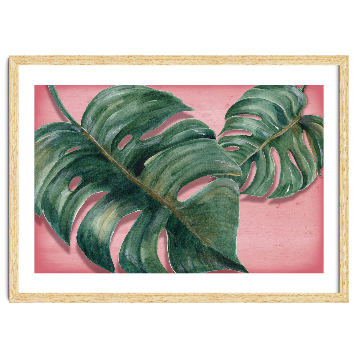 Monstera Leaf