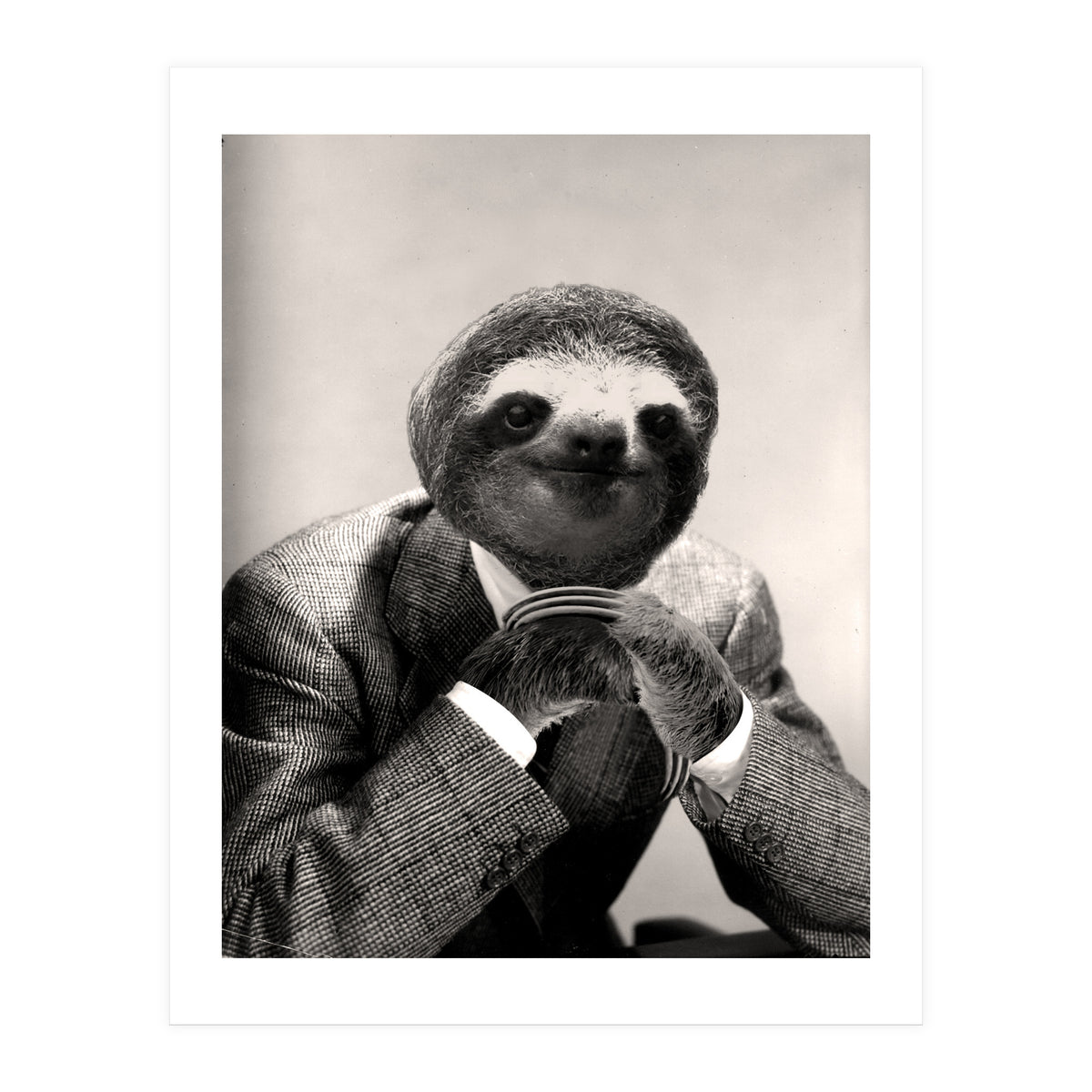 Gentleman Sloth 3 (Print Only)