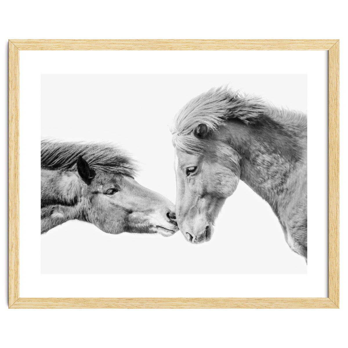 Horse Love in Iceland