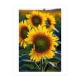 Summerflower (Print Only) thumbnail