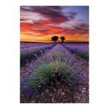 A Place To Dream (Print Only) thumbnail