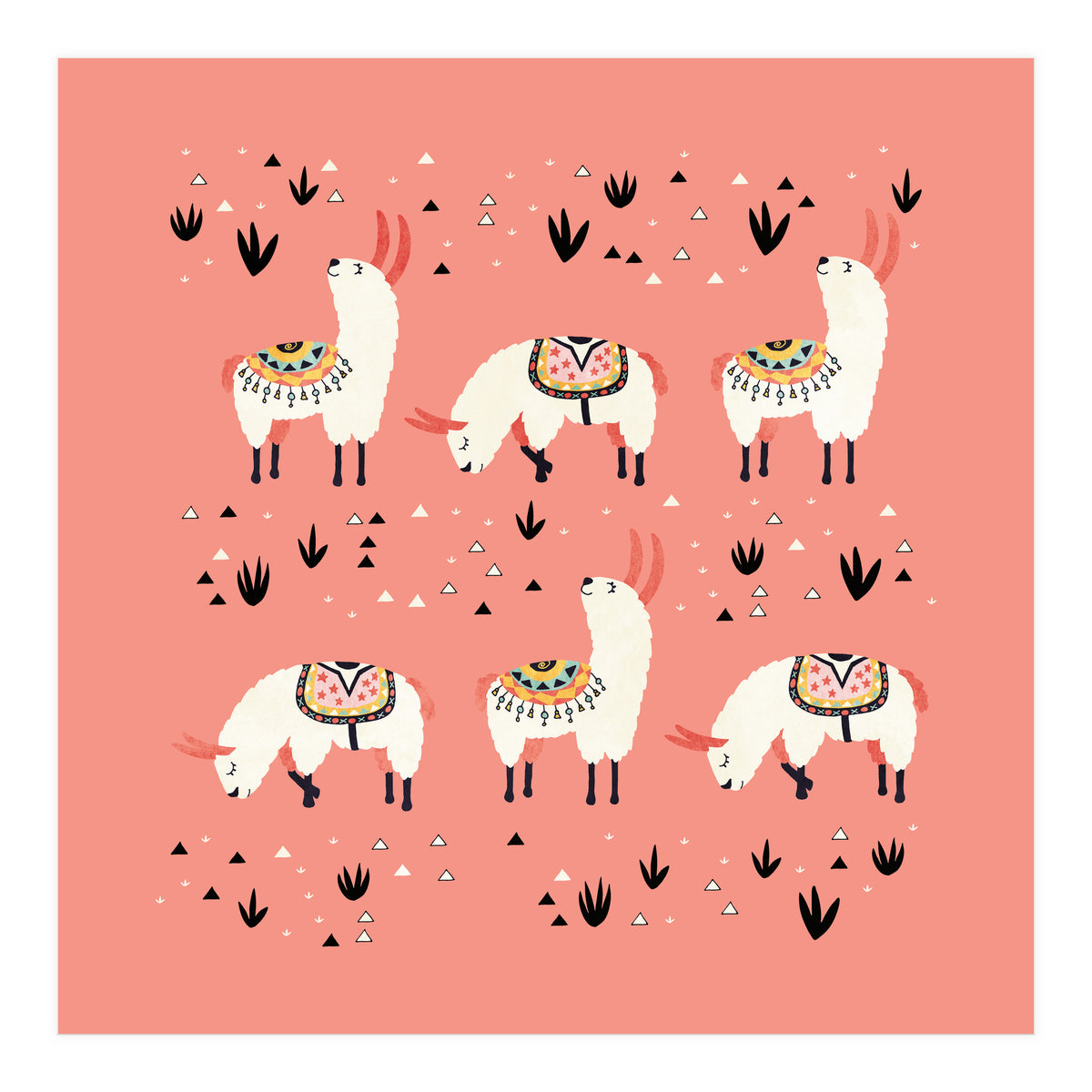 White Llamas In Pink Desert (Print Only)