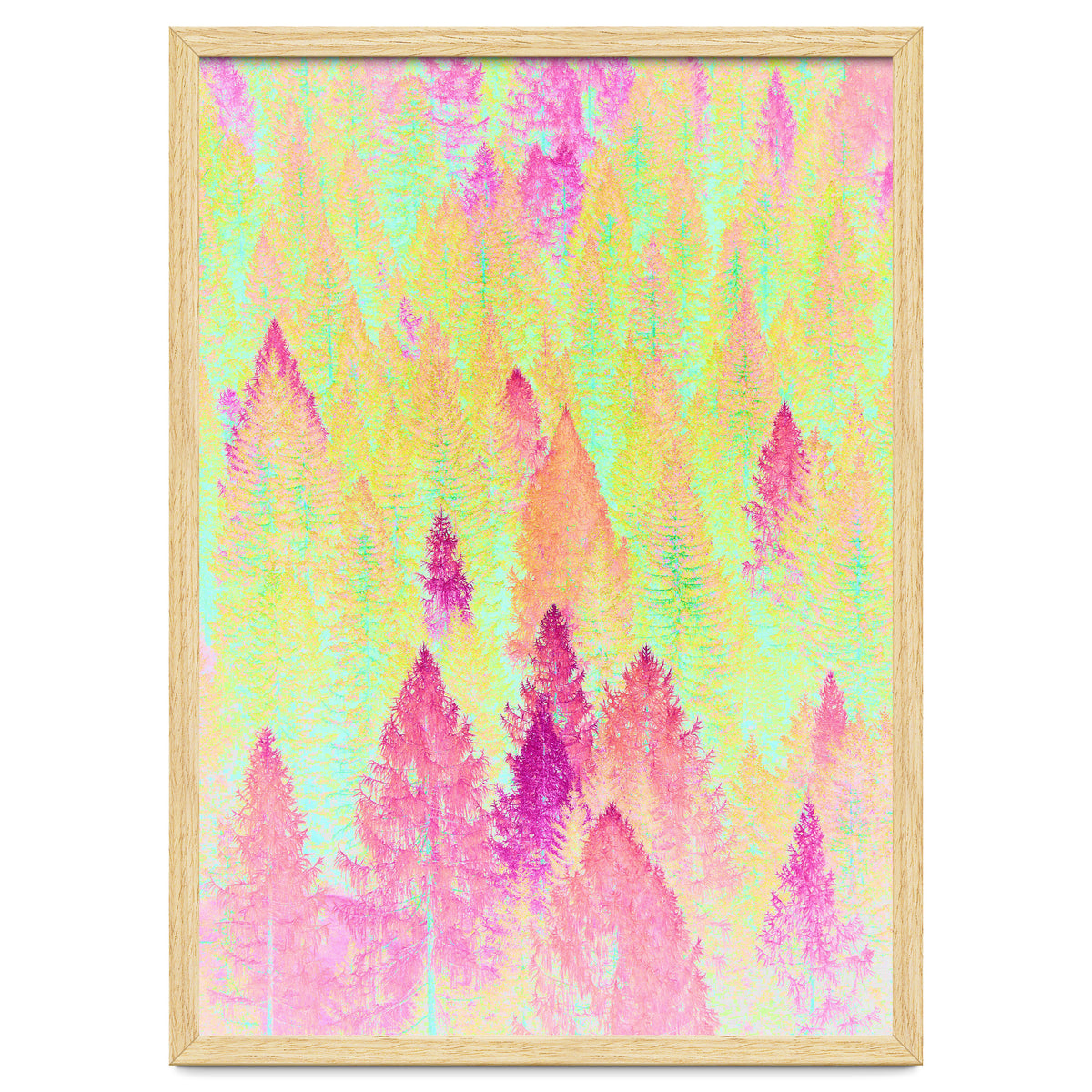 Painted Forest