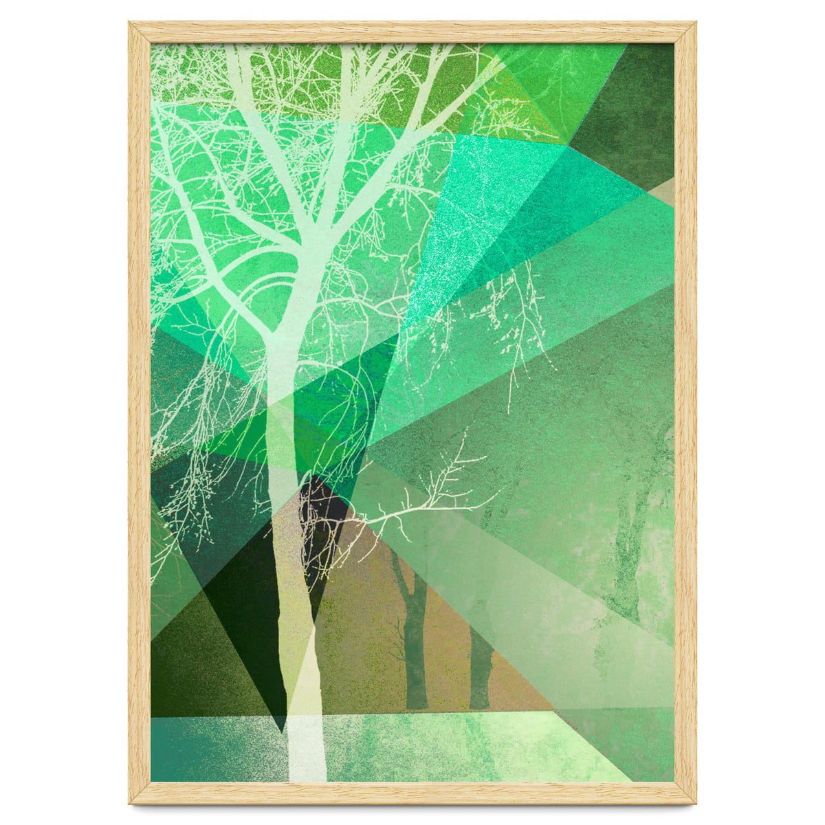 P22 B Trees And Triangles