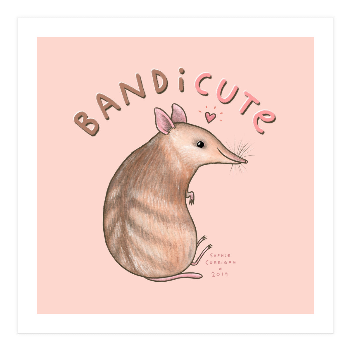 Bandicute (Print Only)