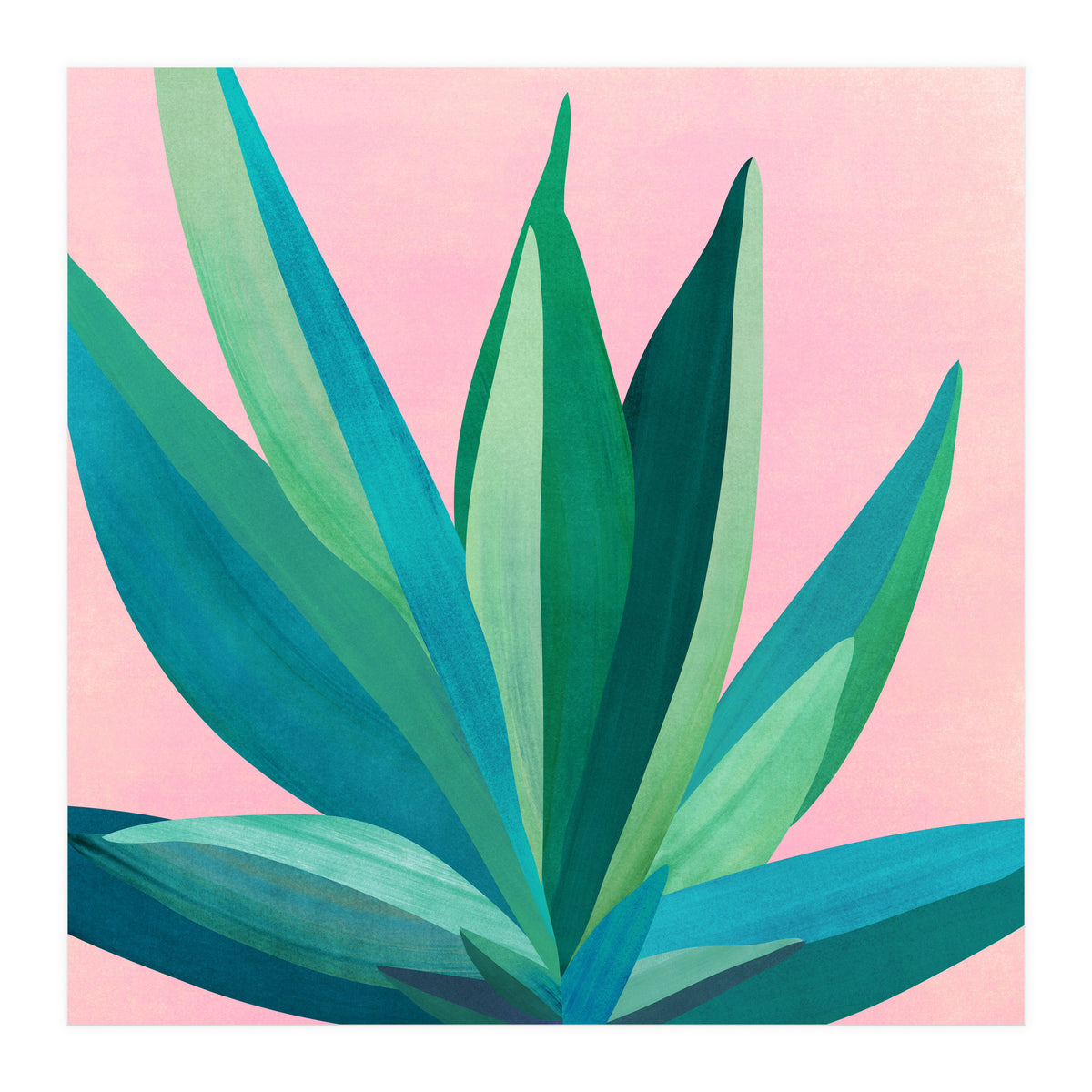 Southwest Agave (Print Only)