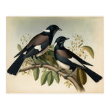 Magpies Vintage Painting (Print Only) thumbnail
