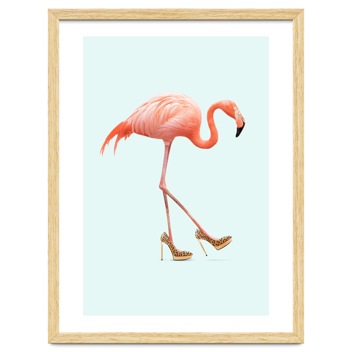 Fancy Flamingo