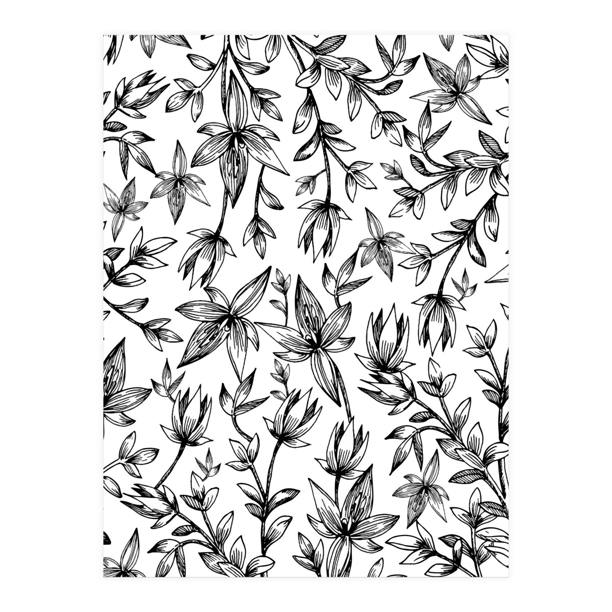 Veli V2 (Print Only)