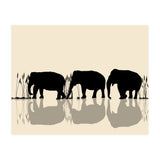 Elephants Crossing Water (Print Only) thumbnail
