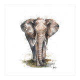 Elephant - Wildlife Collection (Print Only) thumbnail
