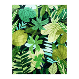 Rainforest Ii (Print Only) thumbnail