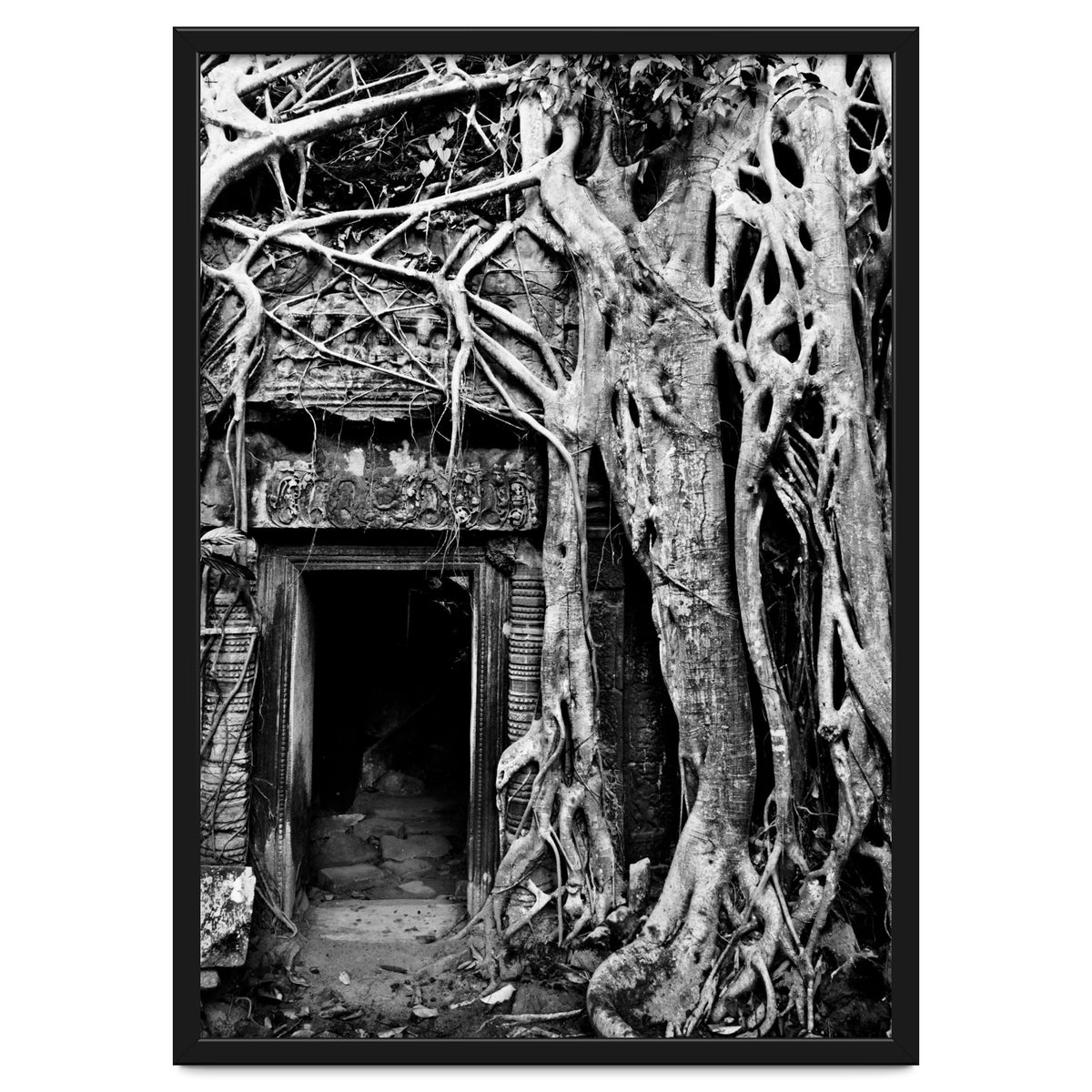 Ta Prohm Temple, Cambodia