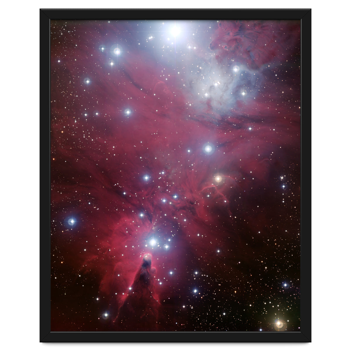 The Christmas Tree Cluster