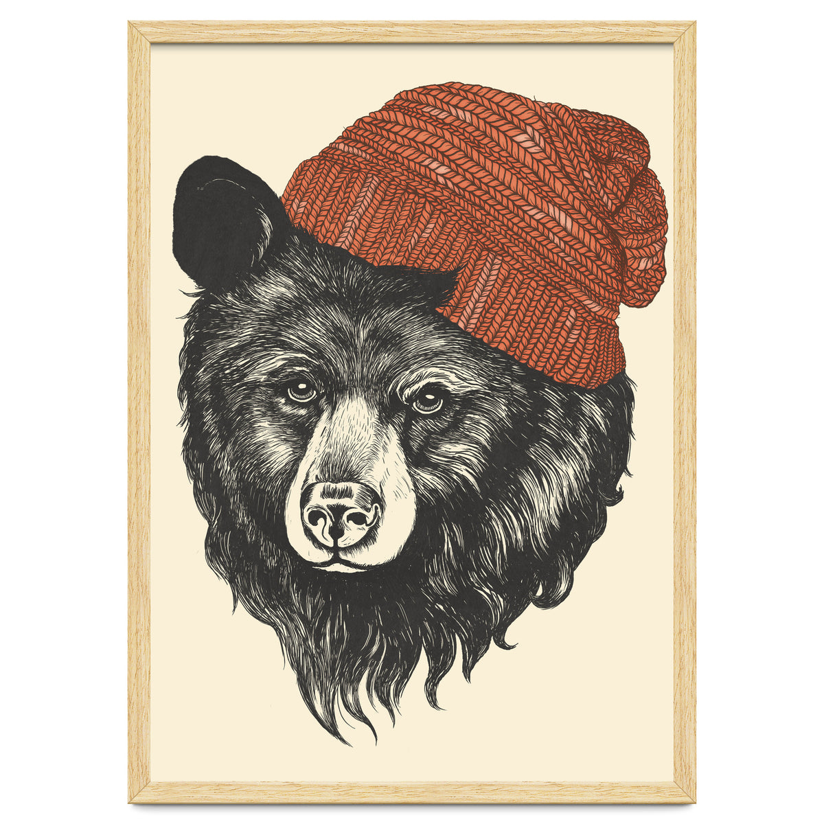 Zissou The Bear
