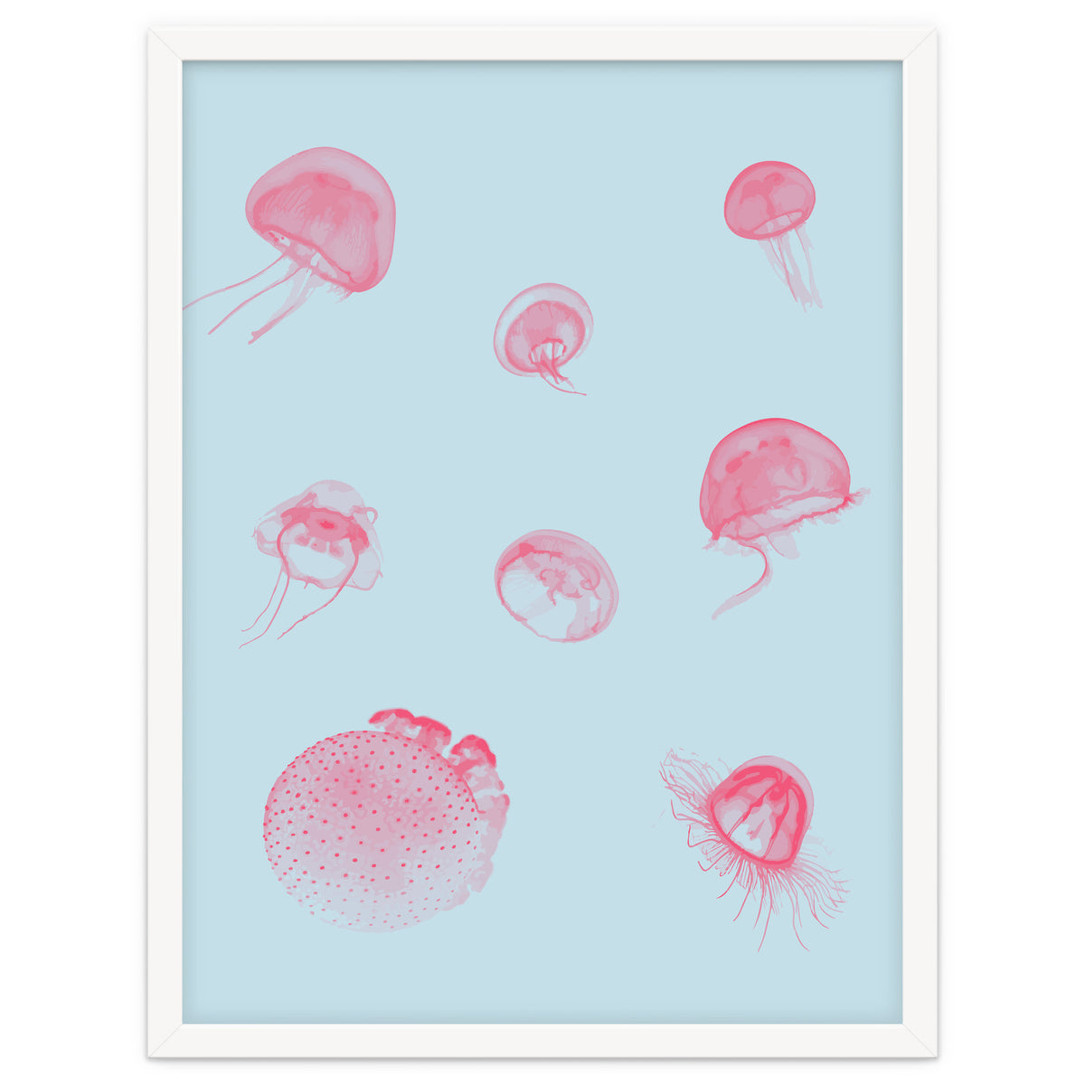 Jellyfish