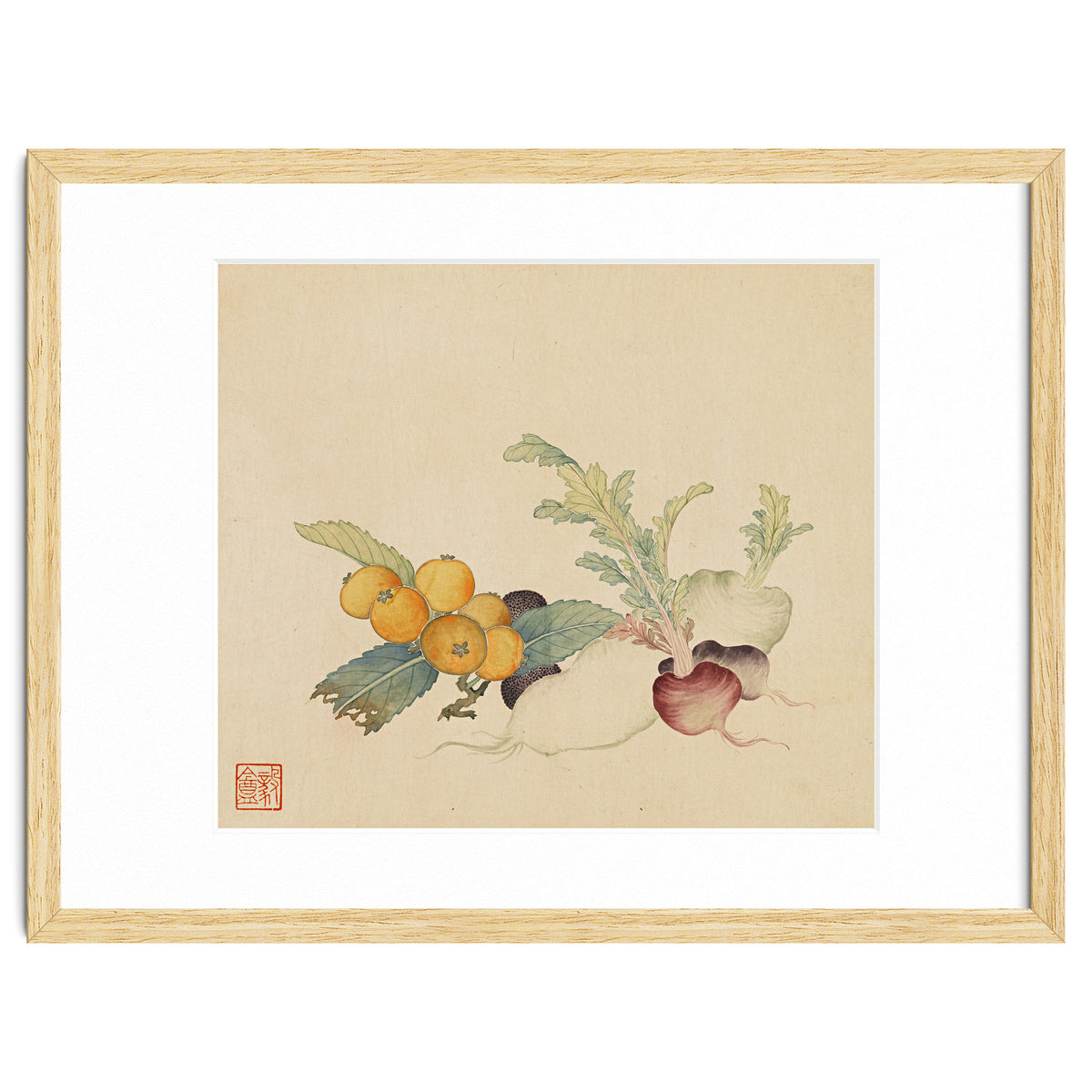 Wang Chengpi~flowers And Vegetables, Vegetables, Fruits, Loquat, White Radish, Carrot, Radish