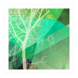 P22-B3 Trees And Triangles (Print Only) thumbnail