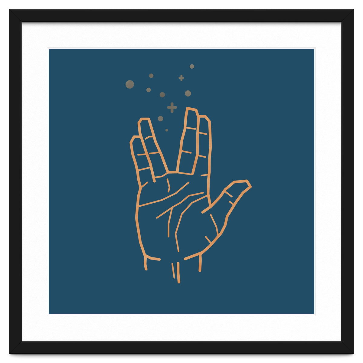 Vulcan Salute