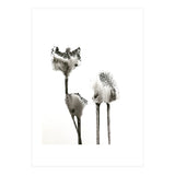 Flying Angels (Print Only) thumbnail