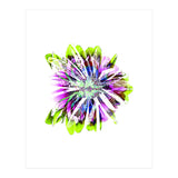 Tropic (Print Only) thumbnail