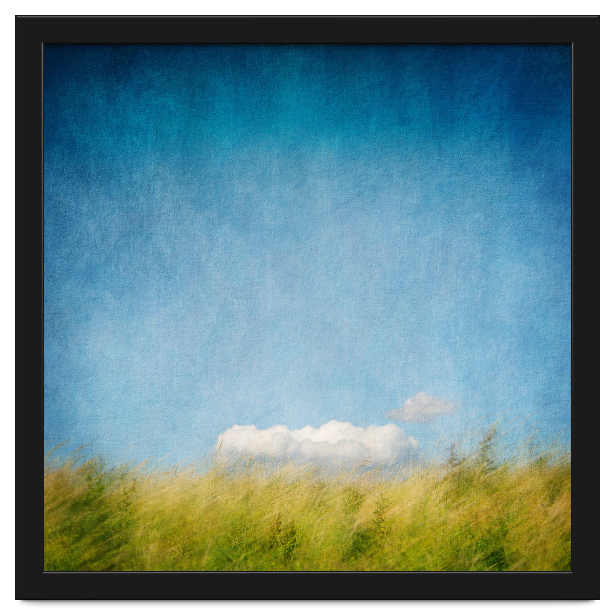 The Cloud That Fell From The Sky