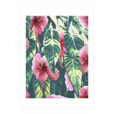 Wild Hibiscus (Print Only) thumbnail