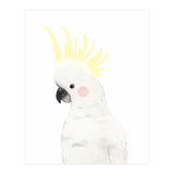 Sweet Cockatoo (Print Only) thumbnail