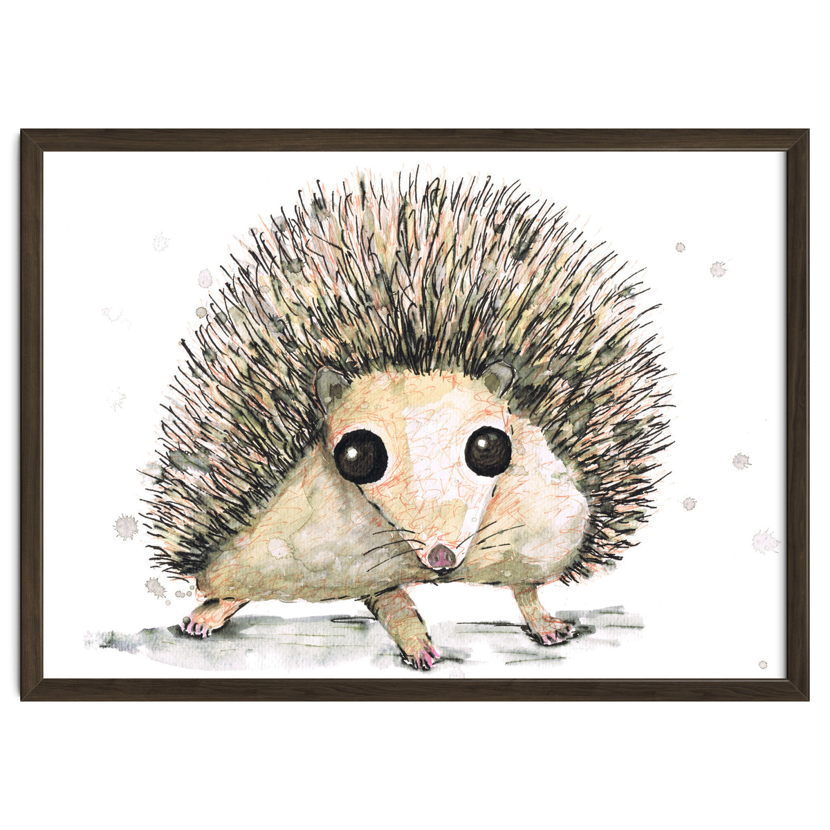 Hedgehog