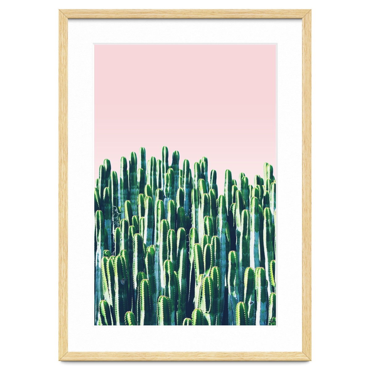 Cactus & Sunset II