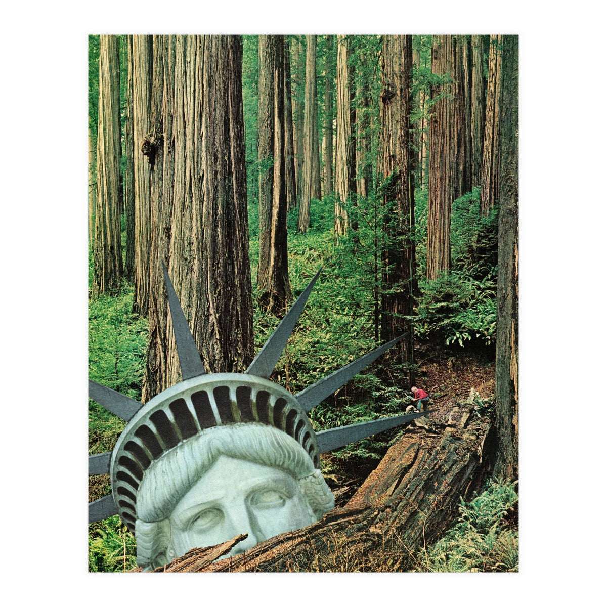 Multiverse (Print Only)