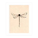 Dragonfly (Print Only) thumbnail
