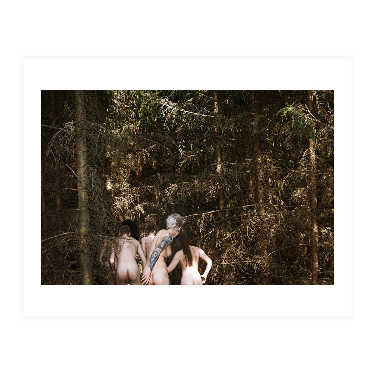 Born Free (Print Only)