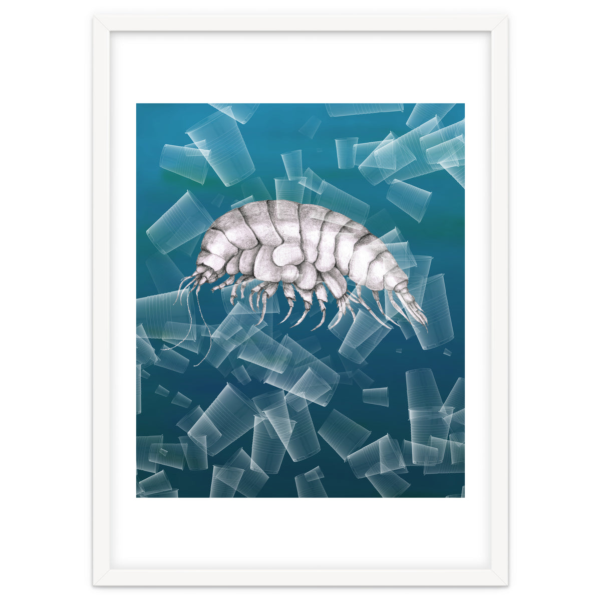 Eurythenes Plasticus