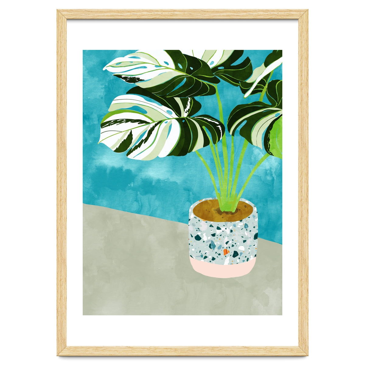 Variegated Monstera
