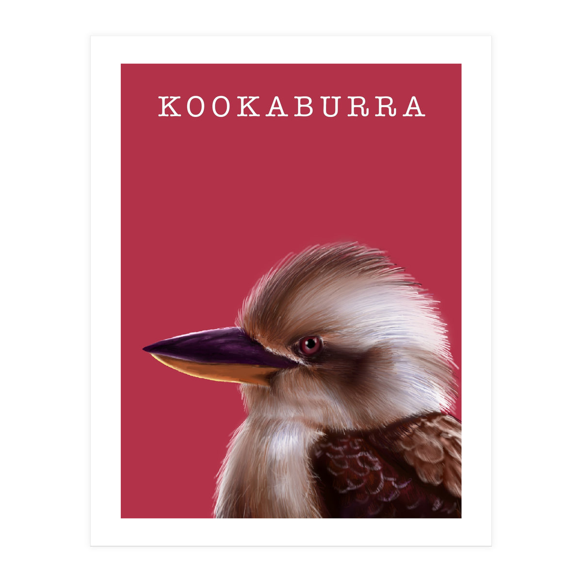 Kookaburra (Print Only)