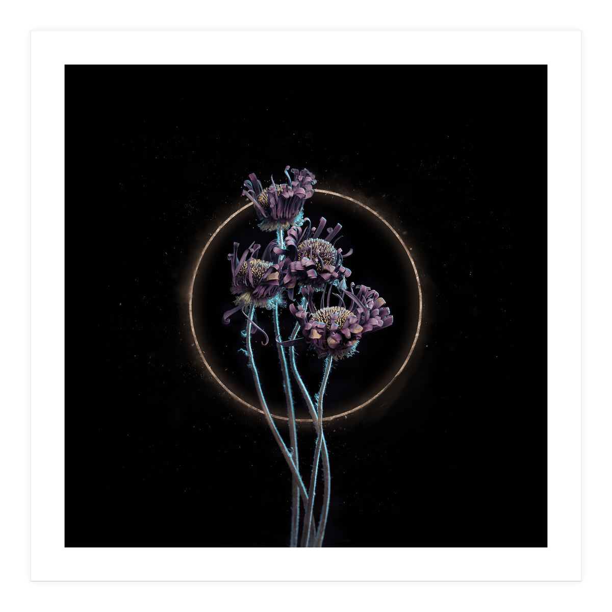 Candy-Coloured Mystery (Print Only)