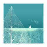 Ocean Wonderland Ii-B  (Print Only) thumbnail