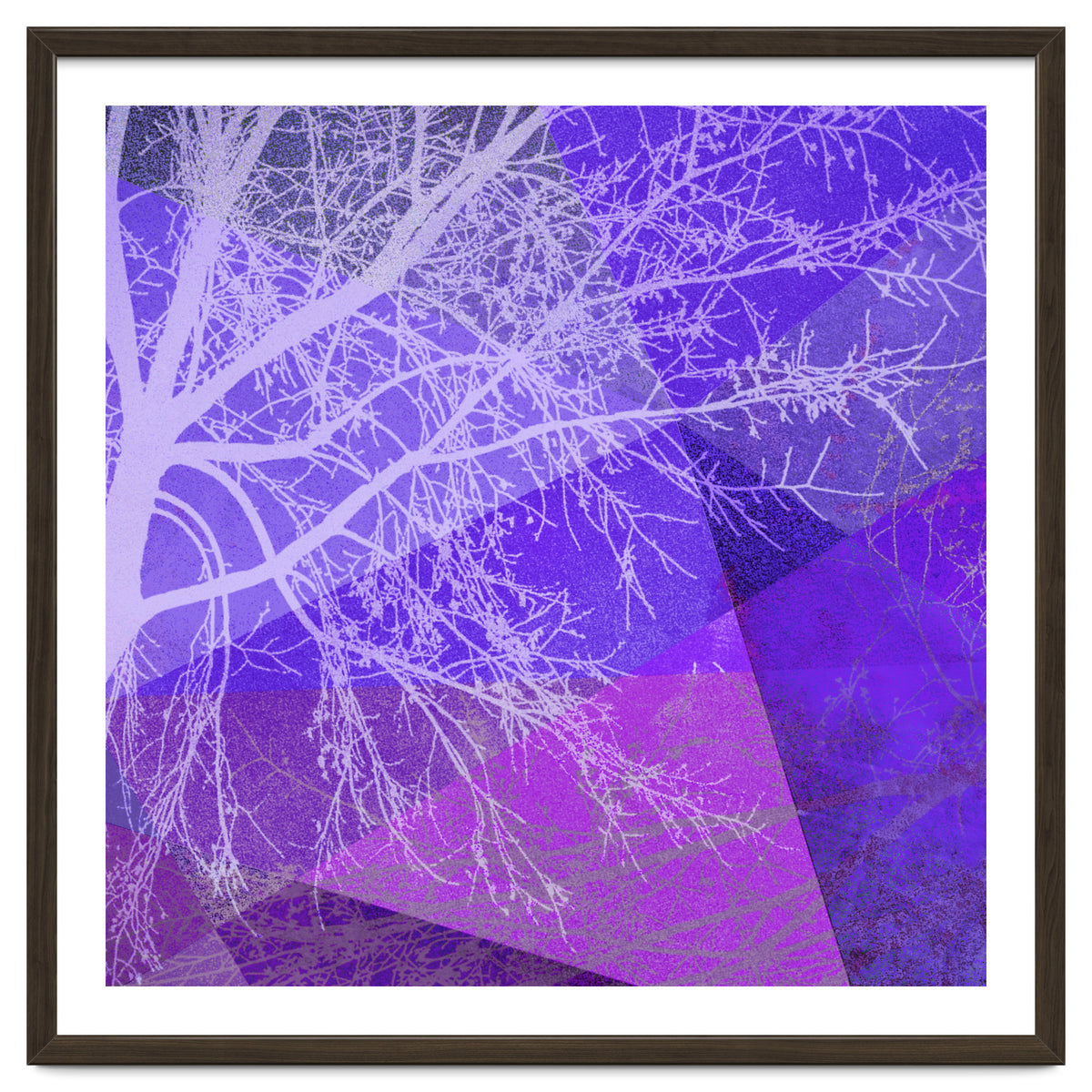 P19-D2 Trees and Triangles