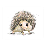 Hedgehog (Print Only) thumbnail