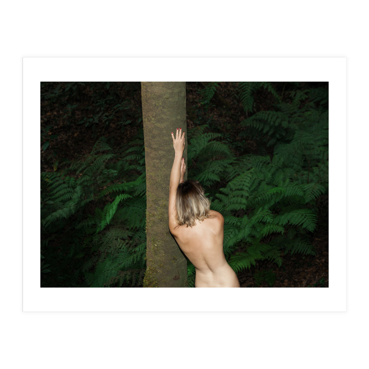 Between Some Ferns (Print Only)