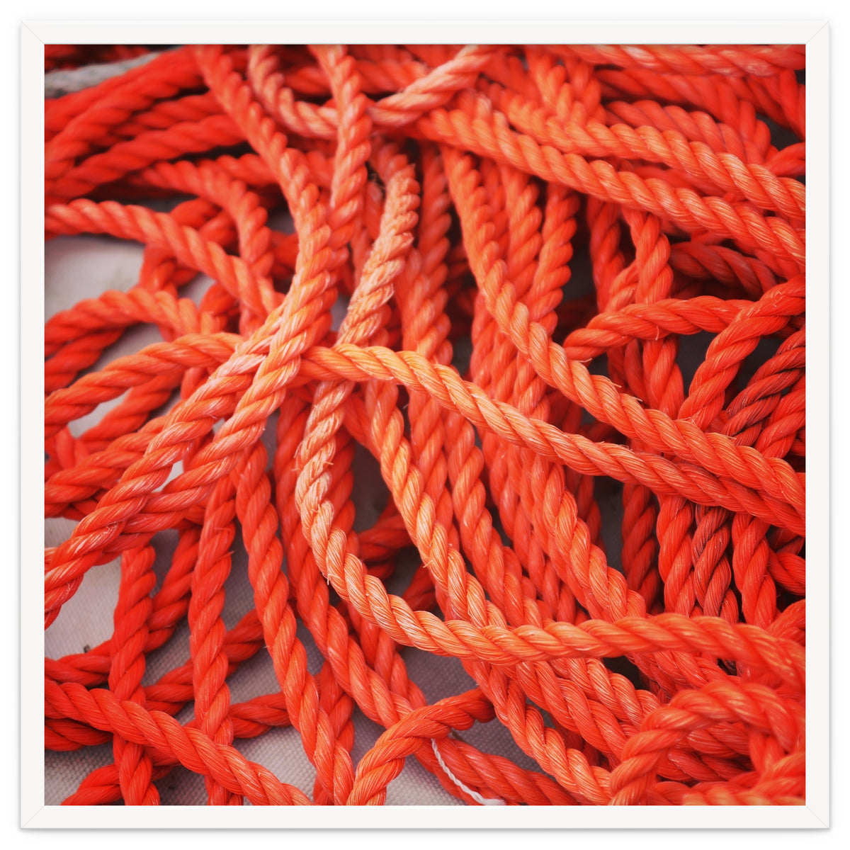 Orange ropes